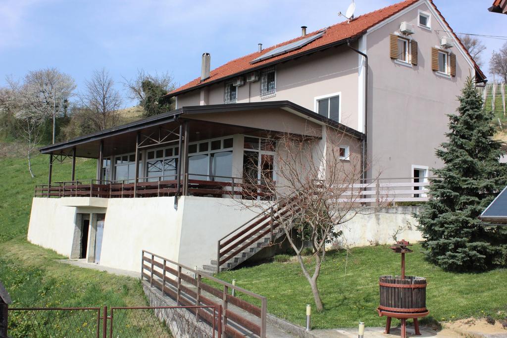 Guesthouse Rezekov Podrum Jastrebarsko Buitenkant foto